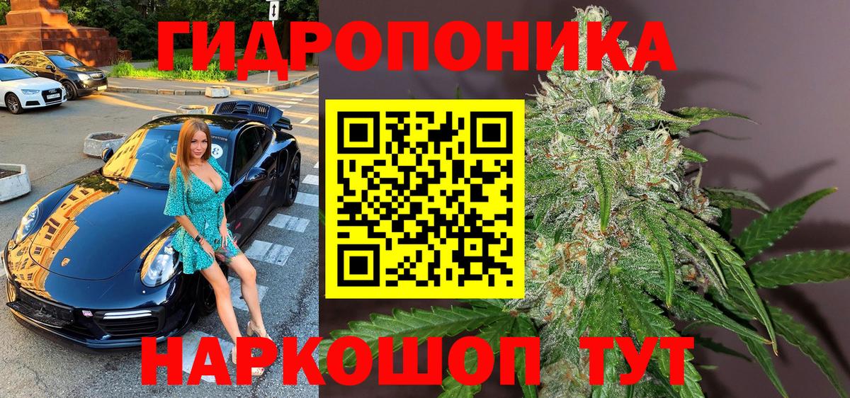 Конопля планчик Знаменск